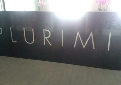 Plurimi Wealth